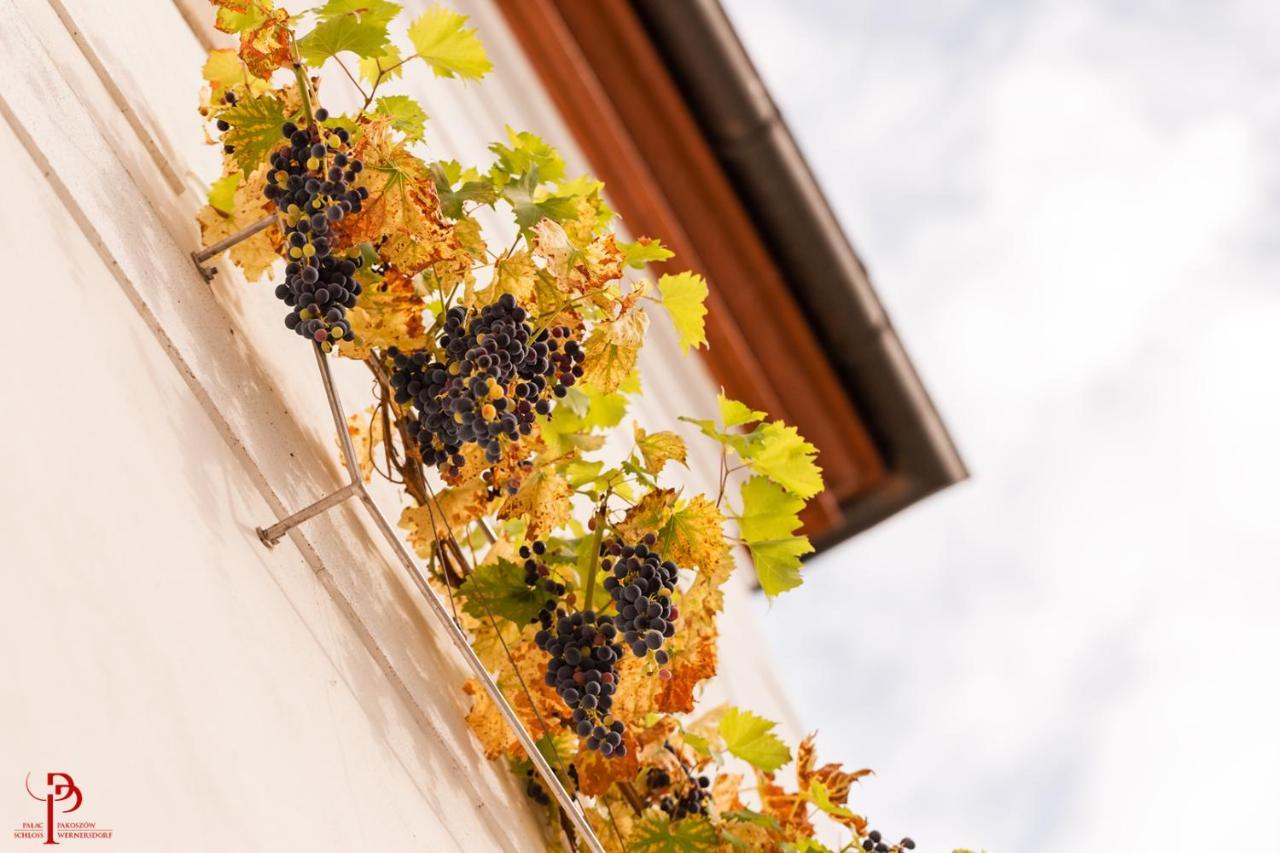 Palac Pakoszow Schlosshotel Wernersdorf Jelenia Gora Exterior photo Vineyards in the village of Saint-André-de-Valzach