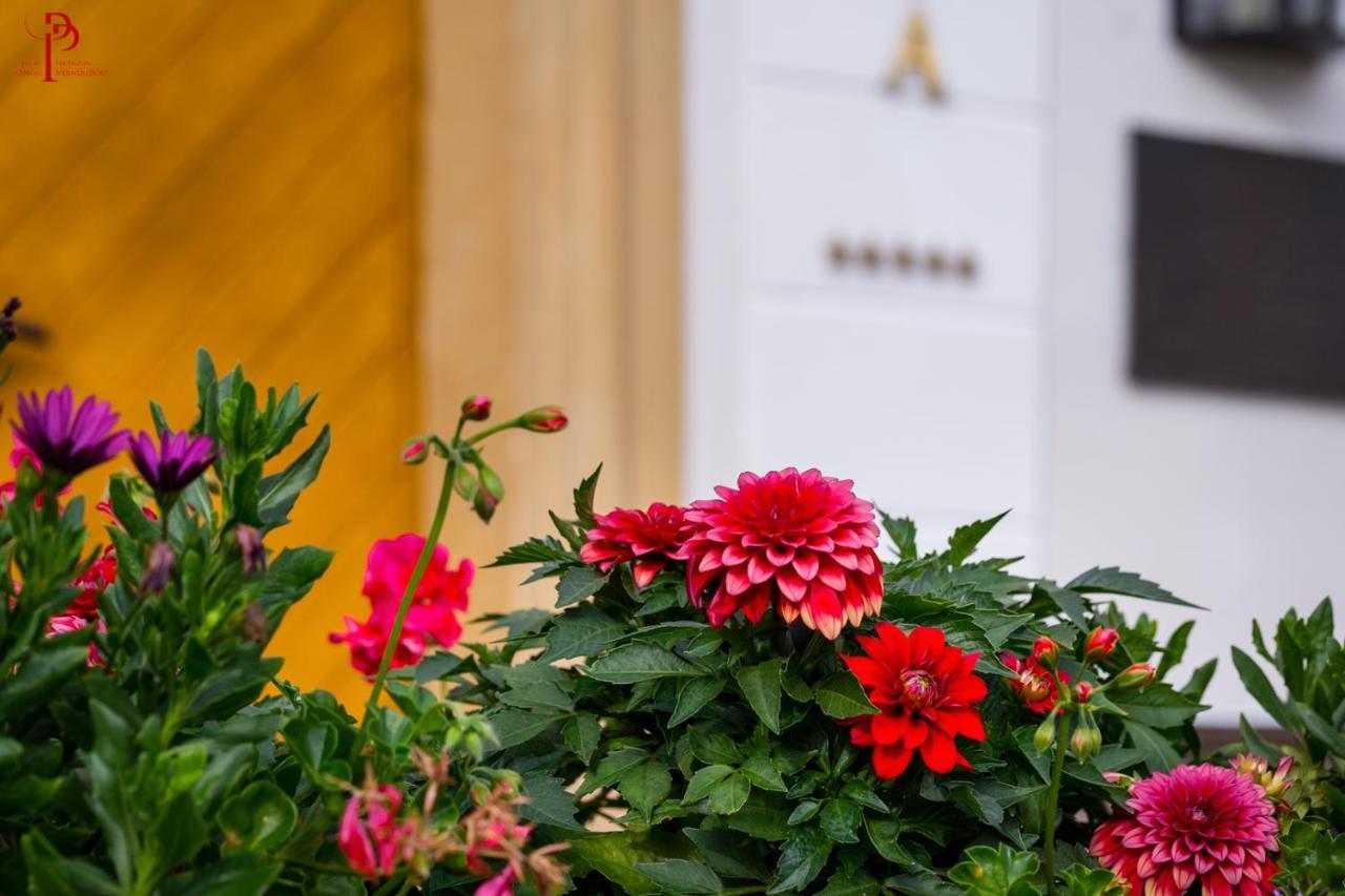 Palac Pakoszow Schlosshotel Wernersdorf Jelenia Gora Exterior photo Dahlia 'Red Charm'